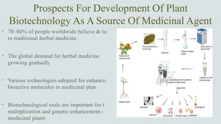 Prospects For Development Of Plant Biotechnology as a Source of ...