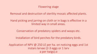 Flowering stage
Removal and destruction of sterility mosaic affected plants.
Hand picking and jarring on cloth or in bags is effective in a
limited way in small areas.
Conservation of predatory spiders and wasps etc.
Installation of bird perches for the predatory birds.
Application of NPV @ 250 LE per ha. on noticing eggs and 1st
instars larvae (2-3 eggs or 1 larv
a per twigs).o
 