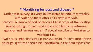 * Monitiring for pest and disease *
Under take survey at every 10 km distance initially at weekly
intervals and there after at 10 days intervals.
Record incidence of pod borer on all host crops of the locality.
Field scouting for pests and bio control fauna by extension
agencies and farmers once in 7 days should be undertaken to
workout ETL.
Two hours light exposure up to 8-8.30 p.m. for pest monitoring
through light trap should be undertaken in the field if possible.
 