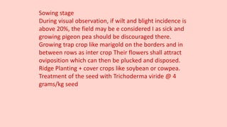 Sowing stage
During visual observation, if wilt and blight incidence is
above 20%, the field may be e considered I as sick and
growing pigeon pea should be discouraged there.
Growing trap crop like marigold on the borders and in
between rows as inter crop Their flowers shall attract
oviposition which can then be plucked and disposed.
Ridge Planting + cover crops like soybean or cowpea.
Treatment of the seed with Trichoderma viride @ 4
grams/kg seed
 