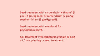 Seed treatment with carbendazim + thiram* (I
gm + 2 gm/kg seed, or carbendazim (2 gm/kg
seed) or thirarn (3 gm/kg seed).
Seed treatment with metalaxy1 for
phytopthora blight.
Soil treatment with carbofuran granule @ 8 kg
a.i./ha at planting or seed treatment.
 