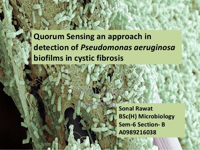 Quorum Sensing in detection of Pseudomonas aeuroginosa biofilms in cystic fibrosis