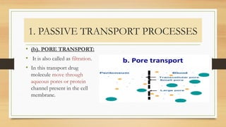 1. PASSIVE TRANSPORT PROCESSES
• (b). PORE TRANSPORT:
• It is also called as filtration.
• In this transport drug
molecule move through
aqueous pores or protein
channel present in the cell
membrane.
 