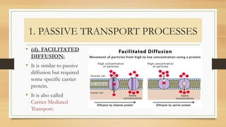 1. PASSIVE TRANSPORT PROCESSES
• (d). FACILITATED
DIFFUSION:
• It is similar to passive
diffusion but required
some specific carrier
protein.
• It is also called
Carrier Mediated
Transport.
 