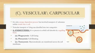 (C). VESICULAR CARPUSCULAR
• It is also energy dependent process but involved transport of substance
within vesicle into a cell.
• Vesicular transport of drug can classified into two categories:
• 1). ENDOCYTOSIS: It is a process in which cell absorbs by engulfing
them.
• (a). Phagocytosis: Cell Eating
• (b). Pinocytosis: Cell Drinking
• (c). Transcytosis: Macromolecules are transferred across the cell
membrane.
 