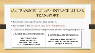 (A). TRANSCELLULAR INTRACELLULAR
TRANSPORT
• It is most common pathway for drug transport.
• It is defined as the passage of drug across GI epithelium.
• The various transcellular transport processes involved in drug absorption are:
1. PASSIVE TRANSPORT PROCESSES
PASSIVE DIFFUSION
PORE TRANSPORT
ION-PAIR TRANSPORT
FACILLITATED DIFFUSION
2. ACTIVE TRANSPORT PROCESSES
PRIMARY ACTIVE TRANSPORT
SECONDARY ACTIVE TRANSPORT
( Symport & Antiport)
 