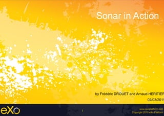 1
Sonar in Action
by Frédéric DROUET and Arnaud HERITIER
02/03/2011
 