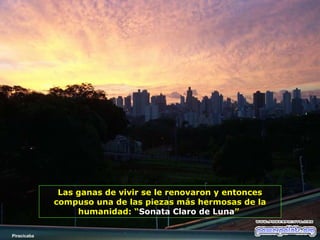 Las ganas de vivir se le renovaron y entonces
compuso una de las piezas más hermosas de la
humanidad: “Sonata Claro de Luna”
Piracicaba

 