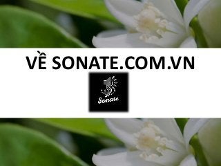 VỀ SONATE.COM.VN
 