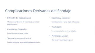 Sonda-Vesical-Guia-Completa-de-Colocacion-y-Manejo.pptx