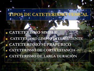 TIPOS DE CATETERISMO VESICAL
■ CATETERISMO SIMPLE
■ CATETERISMO LIMPIO INTERMITENTE
■ CATETERISMO SUPRAPÚBICO
■ CATETERISMO DE CORTA ESTANCIA
■ CATETERISMO DE LARGA DURACIÓN
 