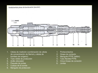 Célula de medición (combinación de célula  de concentración de Nernst y célula de bombeo de oxígeno) Tubo doble de protección Anillo obturador Paquete de juntas Cuerpo de la sonda Manguito de protección Portacontactos Grapa de contacto Manguito PTFE (teflón) Tubo flexible PTFE Cinco líneas de conexión Juntas 