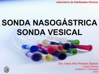 SONDA NASOGÁSTRICA
SONDA VESICAL
Dra. Ivana Inés Pedraza Salazar
Cirugía General
Hospital A. I. Perrupato
2013
Laboratorio de Habilidades Clínicas
 