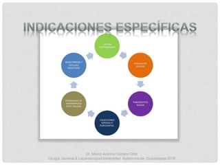 Dr. Marco Antonio Cedano Ortiz
Cirugía General & Laparoscopia/Universidad Autónoma de Guadalajara 2016
 