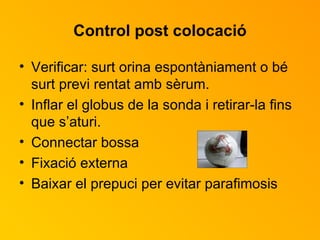 Control post colocació Verificar: surt orina espontàniament o bé surt previ rentat amb sèrum. Inflar el globus de la sonda i retirar-la fins que s’aturi. Connectar bossa Fixació externa Baixar el prepuci per evitar parafimosis 