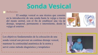 TECNICA DE COLOCACION DE LA SONDA VESICAL PPTX tecnica-de-colocacion-de-la-sonda-vesical-pptx