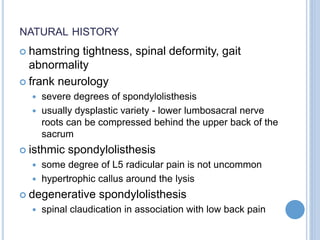 NATURAL HISTORY
 hamstring tightness, spinal deformity, gait
abnormality
 frank neurology
 severe degrees of spondylolisthesis
 usually dysplastic variety - lower lumbosacral nerve
roots can be compressed behind the upper back of the
sacrum
 isthmic spondylolisthesis
 some degree of L5 radicular pain is not uncommon
 hypertrophic callus around the lysis
 degenerative spondylolisthesis
 spinal claudication in association with low back pain
 