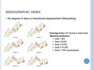 RADIOGRAPHIC INDEX
 the degree of slips or transitional displacement (Meyerding)
 