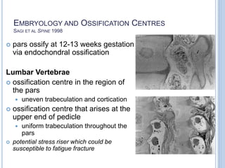 EMBRYOLOGY AND OSSIFICATION CENTRES
SAGI ET AL SPINE 1998
 pars ossify at 12-13 weeks gestation
via endochondral ossification
Lumbar Vertebrae
 ossification centre in the region of
the pars
 uneven trabeculation and cortication
 ossification centre that arises at the
upper end of pedicle
 uniform trabeculation throughout the
pars
 potential stress riser which could be
susceptible to fatigue fracture
 
