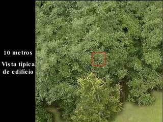 10 metros Vista típica de edifício 