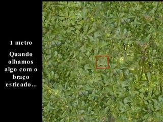 1 metro Quando olhamos algo com o braço esticado... 
