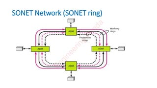 SONET Network (SONET ring)
E
n
g
i
n
e
e
r
i
n
g
F
u
n
d
a
 