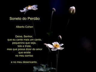 Soneto do Perdão Alberto Cohen Deixa, Senhor,  que eu cante mais um canto, pequenino que seja,  tolo e triste, mas que possa dizer do amor que existe no meu sorriso  e no meu desencanto.  