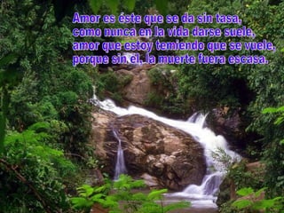 Amor es éste que se da sin tasa, como nunca en la vida darse suele, amor que estoy temiendo que se vuele, porque sin él, la muerte fuera escasa. 