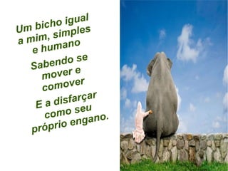 Um bicho igual
a mim, simples
e humano
Sabendo se
mover e
comover
E a disfarçar
como seu
próprio engano.
