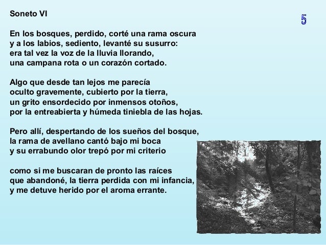 Sonetos de Pablo Neruda