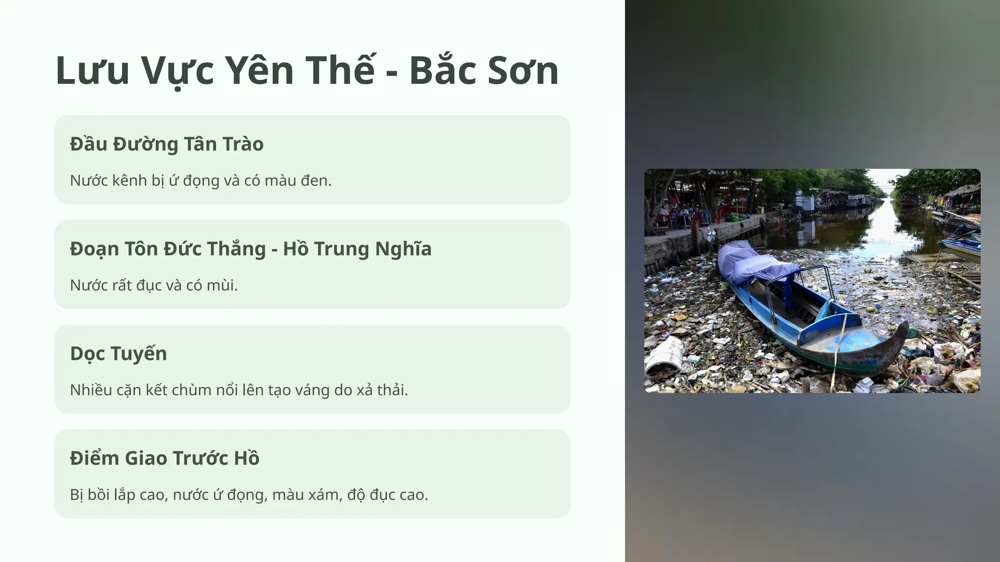 Song phu loc thuc trang o nhiem va tac djong pptx
