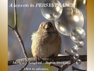 A lesson in PERSEVERANCE Musique : Songbird – Barbra Streisand  Click to advance 