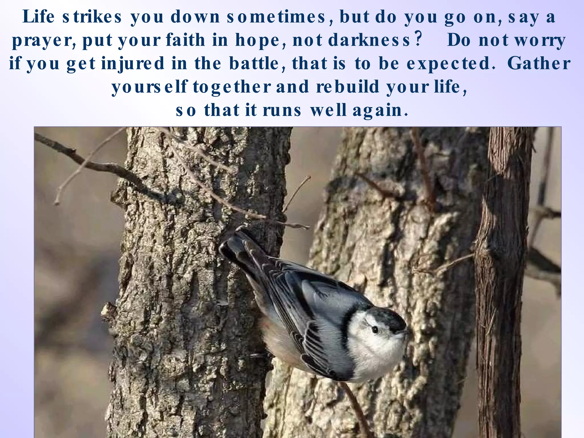 Life strikes you down sometimes, but do you go on, say a  prayer, put your faith in hope, not darkness?  Do not worry  if you get injured in the battle, that is to be expected.  Gather  yourself together  and rebuild your life,  so that it runs well again. 
