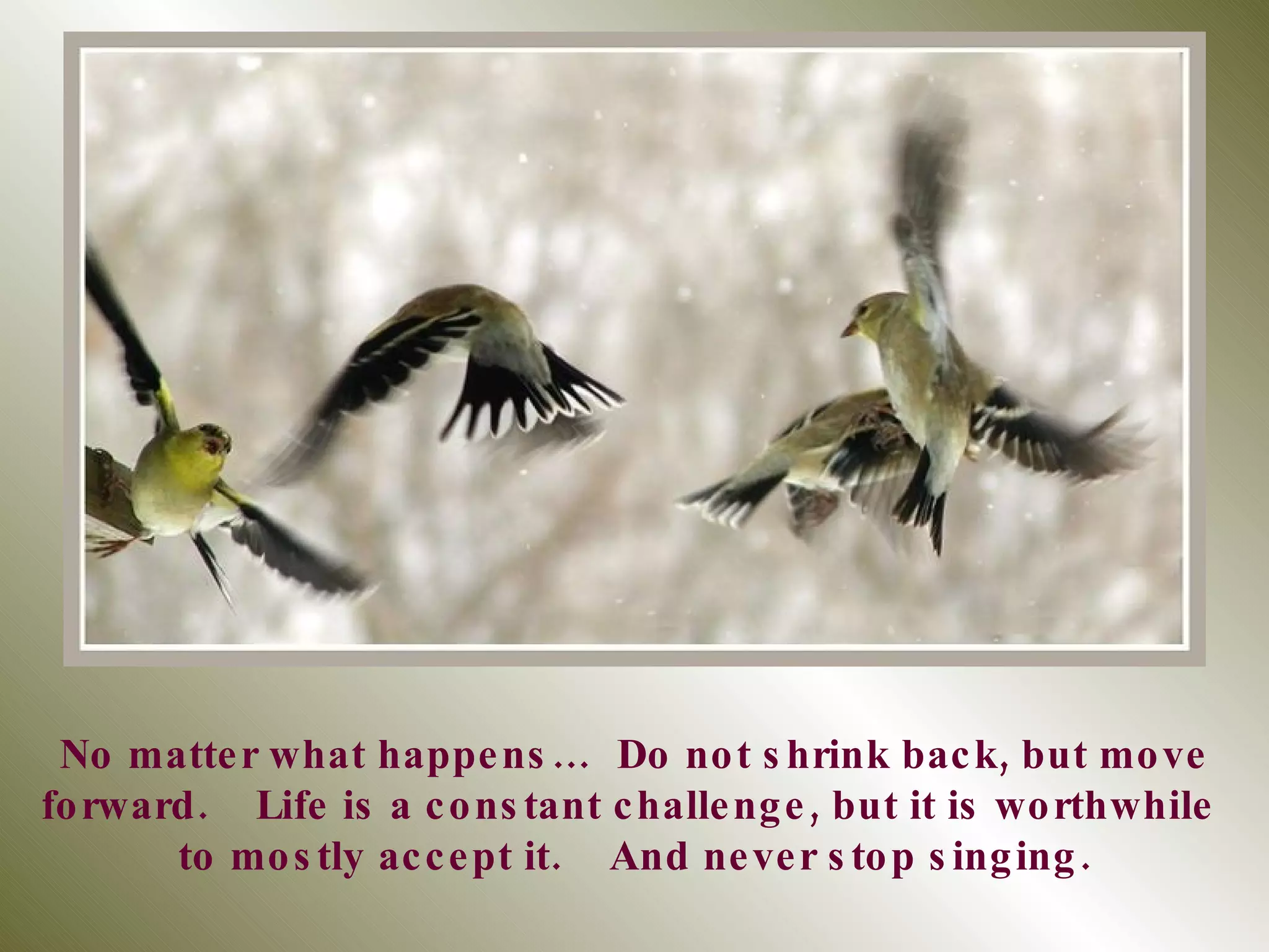 No matter what happens…  Do not shrink back, but move forward.  Life is a constant challenge, but it is worthwhile  to mostly accept it.  And never stop singing. 