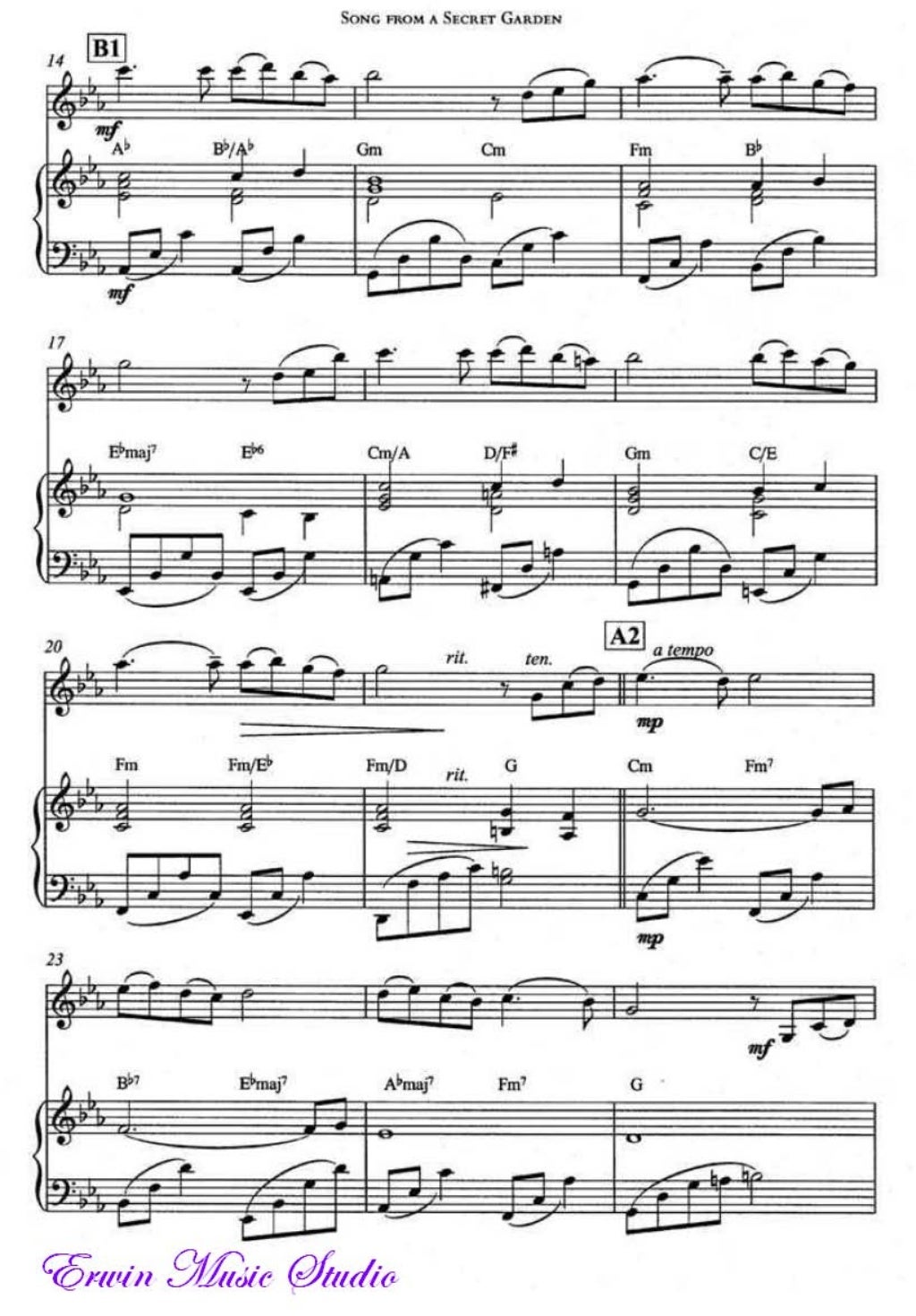 Song from a secret garden violin