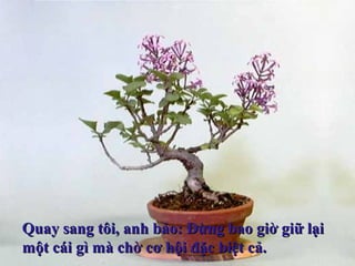 Quay sang tôi, anh bảo: Đừng bao giờ giữ lạiQuay sang tôi, anh bảo: Đừng bao giờ giữ lại
một cái gì mà chờ cơ hội đặc biệt cả.một cái gì mà chờ cơ hội đặc biệt cả.
 