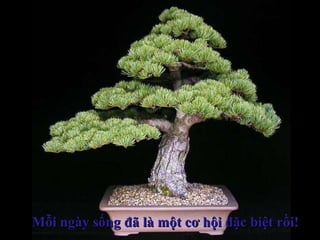 Mỗi ngày sống đã là một cơ hội đặc biệt rồi!Mỗi ngày sống đã là một cơ hội đặc biệt rồi!
 