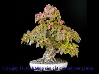 Từ ngày ấy, tôi không còn cất giữ một cái gì nữa.Từ ngày ấy, tôi không còn cất giữ một cái gì nữa.
 