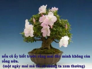 nếu cô ấy biết trước rằng mai đây mình không cònnếu cô ấy biết trước rằng mai đây mình không còn
sống nữa.sống nữa.
(một ngày mai mà tất cả chúng ta xem thường)(một ngày mai mà tất cả chúng ta xem thường)
 