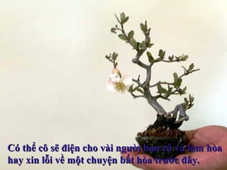 Có thể cô sẽ điện cho vài người bạn cũ và làm hòaCó thể cô sẽ điện cho vài người bạn cũ và làm hòa
hay xin lỗi về một chuyện bất hòa trước đây.hay xin lỗi về một chuyện bất hòa trước đây.
 