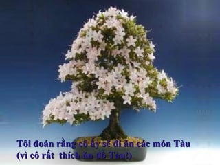 Tôi đoán rằng cô ấy sẽ đi ăn các món TàuTôi đoán rằng cô ấy sẽ đi ăn các món Tàu
(vì cô rất thích ăn đồ Tàu!)(vì cô rất thích ăn đồ Tàu!)
 