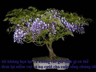 tôi không hẹn lại và không cất giữ điều gì có thểtôi không hẹn lại và không cất giữ điều gì có thể
đem lại niềm vui và nụ cười cho cuộc sống chúng tôiđem lại niềm vui và nụ cười cho cuộc sống chúng tôi
 