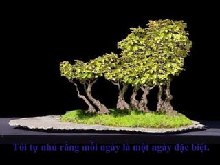 Tôi tự nhủ rằng mỗi ngày là một ngày đặc biệt.Tôi tự nhủ rằng mỗi ngày là một ngày đặc biệt.
 