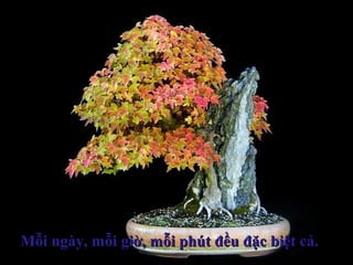 Mỗi ngày, mỗi giờ, mỗi phút đều đặc biệt cả.Mỗi ngày, mỗi giờ, mỗi phút đều đặc biệt cả.
 