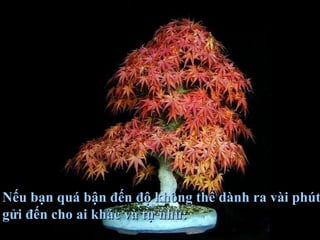 Nếu bạn quá bận đến độ không thể dành ra vài phútNếu bạn quá bận đến độ không thể dành ra vài phút
gửi đến cho ai khác và tự nhủ:gửi đến cho ai khác và tự nhủ:
 
