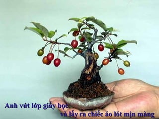 Anh vứt lớp giấy bọcAnh vứt lớp giấy bọc
và lấy ra chiếc áo lót mịn màngvà lấy ra chiếc áo lót mịn màng
 