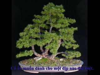 Cô ấy muốn dành cho một dịp nào đặc biệt.Cô ấy muốn dành cho một dịp nào đặc biệt.
 