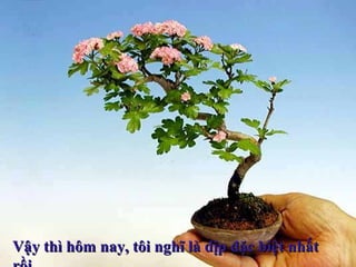 Vậy thì hôm nay, tôi nghĩ là dịp đặc biệt nhấtVậy thì hôm nay, tôi nghĩ là dịp đặc biệt nhất
 