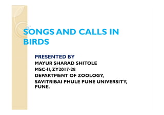 SONGS AND CALLS INSONGS AND CALLS IN
BIRDSBIRDS
PRESENTED BYPRESENTED BY
MAYUR SHARAD SHITOLE
MSC-II, ZY2017-28
DEPARTMENT OF ZOOLOGY,
SAVITRIBAI PHULE PUNE UNIVERSITY,
PUNE.
 