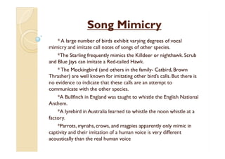 Songs and calls of birds pdf | PPT